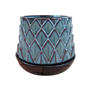 �A�ؔ� ���g���Ȗ͗l�̐A�ؔ� AS036-205 6.5��(20.5cm) / ���ꌊ�L�� �󂯎M�t��