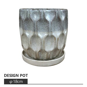 Aؔ  AeB[NfUC|bg AS044-180 6(18cm) / ꌊL 󂯎Mt