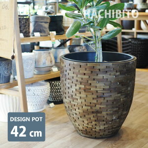 Aؔ UCNEbh|bg AS064-420 14(42cm) Jo[ Ci[|bgt