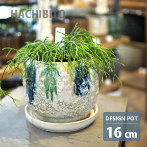 Aؔ  픫 C{E|bg AS088-160 5(16cm) ꌊL 󂯎Mt