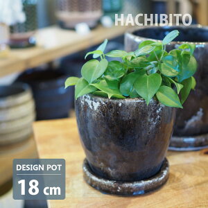 Aؔ  _|bg AS091-185 6(18.5cm) ꌊL 󂯎Mt