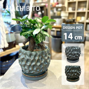 Aؔ  _|bg AS097-140 4.5(14cm) ꌊL 󂯎Mt Jo[ O[ O[