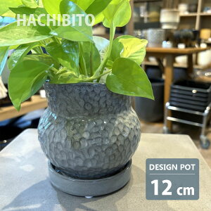 Aؔ  _|bg AS098-120 4(12cm) ꌊL 󂯎Mt