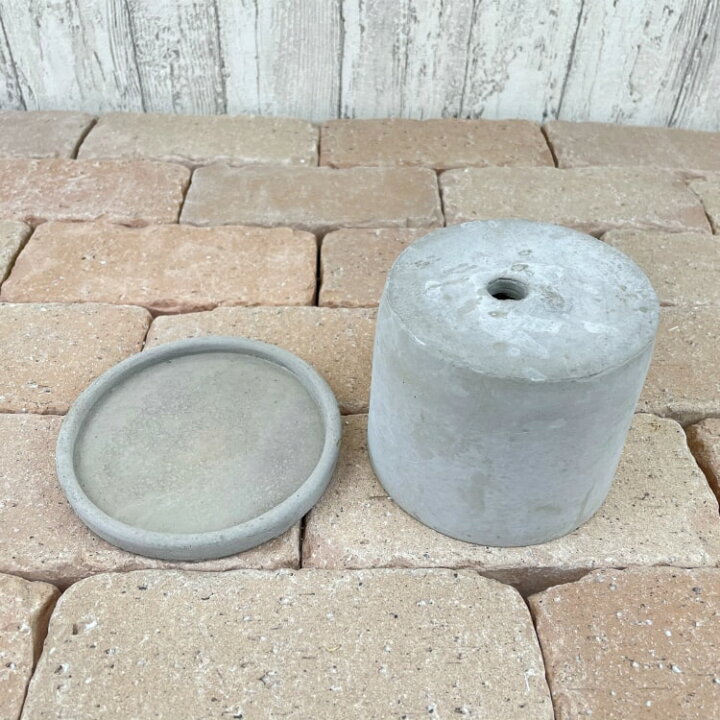 楽天市場 植木鉢 おしゃれ コンクリートポット Cc002 115 4号 11 5cm 陶器鉢 セメント 植木鉢とテラコッタの専門店 鉢人 楽天市場 植木鉢 おしゃれ コンクリートポット Cc002 115 4号 11 5cm 陶器鉢 セメント 植木鉢とテラコッタの専門店 鉢人