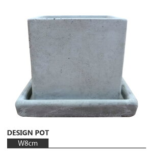 植木鉢 おしゃれ コンクリートポット CC003-080 2.5号(8cm) / 陶器鉢 四角 セメント