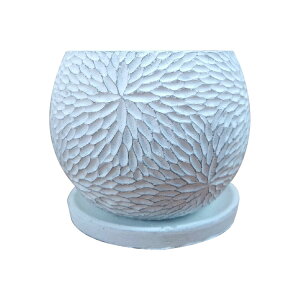 Aؔ  RN[g|bg CC035-150 5(15cm) / 픫   ی` Zg