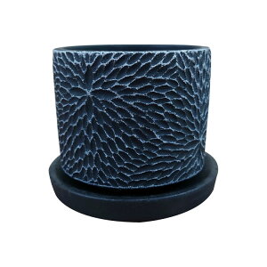 Aؔ  RN[g|bg CC036-110 11cm 3.5 / 픫   Zg