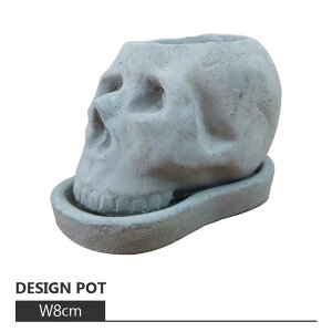 Aؔ  RN[g|bg CC038-220 16cm x 22cm / 픫 Zg hN [