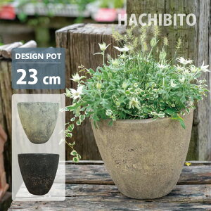 Aؔ AeB[N{E|bg GP005-235 8(23.5cm) ꌊL