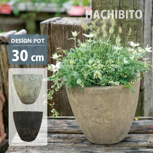 Aؔ AeB[N{E|bg GP005-300 10(30cm) ꌊL