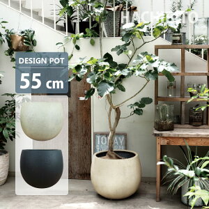 Aؔ yďvFRPJo[ GP007-550 18(55cm) ꌊL ی^