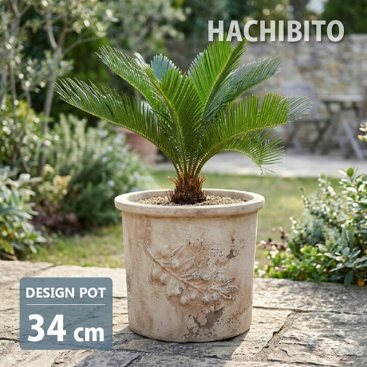 楽天市場】植木鉢 おしゃれ 陶器鉢 オリーブアンティコテラコッタ 