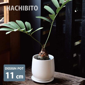 植木鉢 おしゃれ 陶器鉢 質感の良いマットホワイトの植木鉢 GP101-115 3.5号(11.5cm) 鉢底穴有り 受け皿付き モダン 和テイスト インテリア ホワイト