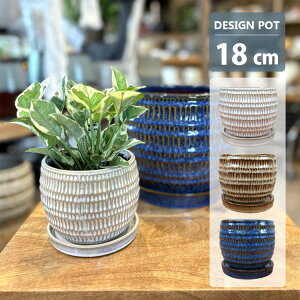 Aؔ ̌^Əc̖͗lAؔ GP108-180 6(18cm) ꌊL 󂯎Mt