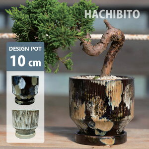Aؔ  fUC|bg GP116-100 3(10cm) / ꌊL 󂯎Mt