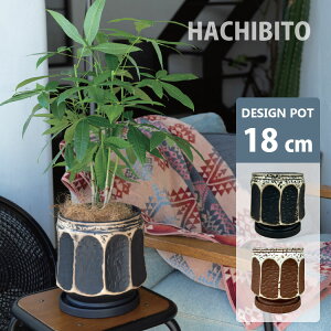 Aؔ  fUC|bg GP118-180 6(18cm) / ꌊL 󂯎Mt