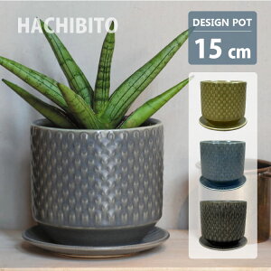 �A�ؔ� ������� ���픫 �t�B�[�J�|�b�g GP129-155 5��(15.5cm) ���ꌊ�L�� �󂯎M�t�� �J�[�L �u���[ �u���E��