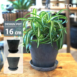 A[gXg[ |bg 󂯎Mt GP301-160 5(16cm) ꌊL Aؔ   ʋ ubN O[ vX`bN y y