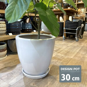 Aؔ  Vv|bg KT222-300 10(30cm) / 픫  ^ y