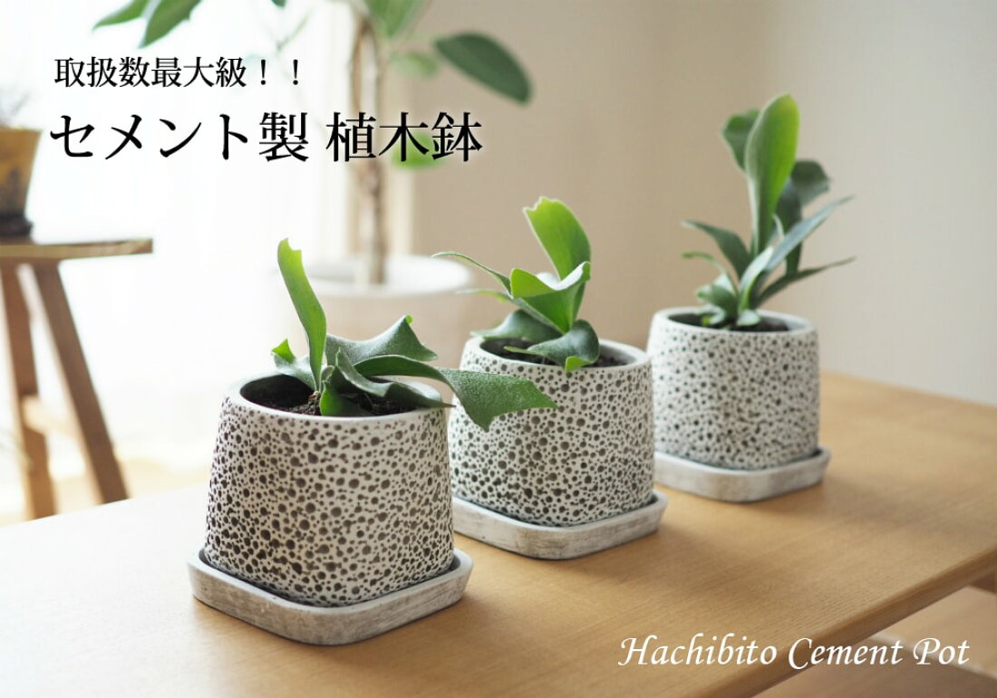 楽天市場 | 植木鉢の専門店 鉢人 - おしゃれな植木鉢をお探しなら 