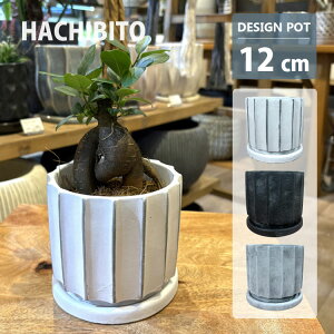 Aؔ  Zg Z|bg MM011-120 4(12cm) ꌊL 󂯎Mt zCg ubN O[