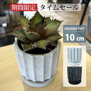 【タイムセール!10%OFFクーポン配布中】植木鉢 おしゃれ セメント セレンポット MM011-100 3号(10cm) 鉢底穴有り 受け皿付き ホワイト ブラック グレー