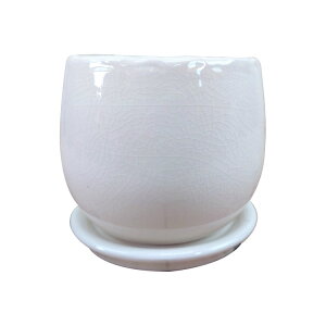 Aؔ  픫 ֖򂪂ꂢȗ^|bg MM038-160 5(16cm) ꌊL 󂯎Mt _ ^ ی^ CeA zCg u[ O[ O[ sN