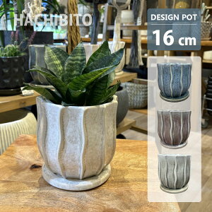 Aؔ  픫 TeB|bg MM039-165 5.5(16.5cm) ꌊL 󂯎Mt zCg u[ p[v O[