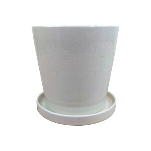 Aؔ  픫 Vv֖|bg MM065-180 6(18cm) ی^ 󂯎Mt