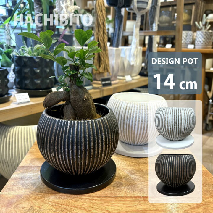 楽天市場】植木鉢 おしゃれ 陶器鉢 ライラ ポット MM082-140 4.5号 