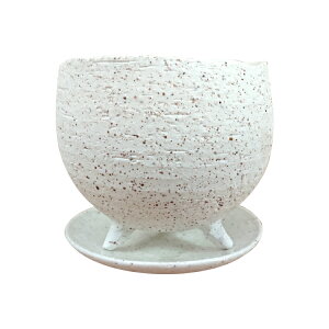 �y�A�ؔ����I�ׂ�I�z�K�W���}�� �����^�C�v 4�� / �ϗt�A�� �j���W���K�W���}�� ������� �~�j ��� ���픫 �v���[���g ��̓� (�ꕔ�n�摗������)