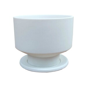 Aؔ  픫 Vv}bg|bg MM092-100 3(10cm) ꌊL 󂯎Mt zCg ubN O[