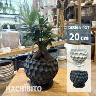 植木鉢 おしゃれ セメント ガイア ポット MM014-200 6.5号(20cm) 鉢底穴有り 受け皿付き 丸型 モダン イ…