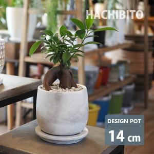 �A�ؔ� ������� �Z�����g ���E���h�|�b�g MM059-145 4.5��(14.5cm) ���ꌊ�L�� �󂯎M�t��