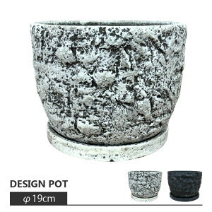 Aؔ  Zg Mbg|bg MY1910-190 6(19cm) ꌊL 󂯎Mt AeB[N