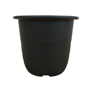 Aؔ  yʃVv|bg NK001-195 6.5(19.5cm) / vX`bN 6FR