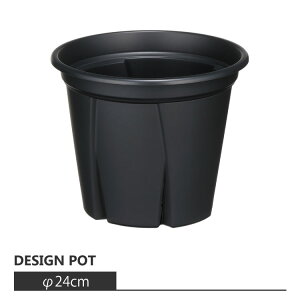 Aؔ  vX`bN AbvEGA 悵 AP003-240 8(24cm) ꌊL Xbg y y  ^