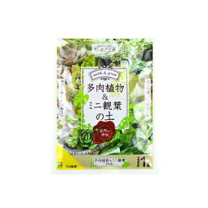 A~jϗt̓y 1bg / ƒ؉ x_K[f |