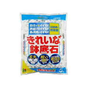 ꂢȔ 5bg / ƒ؉ x_K[f |