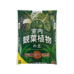 O ϗtA̓y 5bg / ƒ؉ x_K[f |