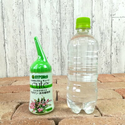 楽天市場 ハイポネックス キュート サボテン 多肉植物用 150ml 家庭菜園 化学肥料 液体肥料 植木鉢とテラコッタの専門店 鉢人