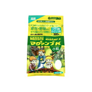 }O@vK  ǔp 500g nC|lbNX / ƒ؉ / w엿 / t̔엿