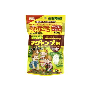 }O@vK  p 200g nC|lbNX / ƒ؉ / w엿 / t̔엿