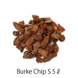 o[N`bv PR001-500 STCY 5bg / ƒ؉ x_K[f | Ebh`bv