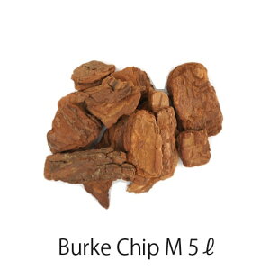 o[N`bv PR002-500 MTCY 5bg / ƒ؉ x_K[f | Ebh`bv