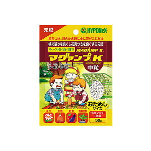 }O@vK  p 50g nC|lbNX / ƒ؉ / w엿 / t̔엿