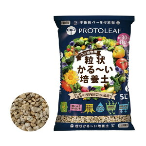 ���󂩂�[���|�{�y 5���b�g�� / �ƒ�؉� �x�����_�K�[�f�� �������|