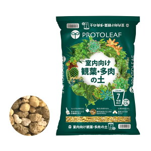 ϗtE̓y 3.5bg / ƒ؉ x_K[f |