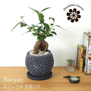 (ꕔn摗) KW} t[|bgAW 󂯎Mt 4.5(14cm)