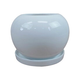 楽天市場 陶器鉢 白の通販